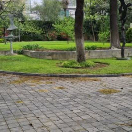 Jardín de Grupo Altea con andador de adoquín y áreas verdes